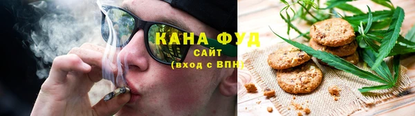 ГАЛЛЮЦИНОГЕННЫЕ ГРИБЫ Верея