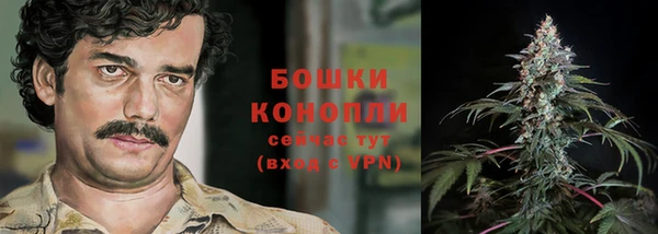 прущие грибы Вязьма