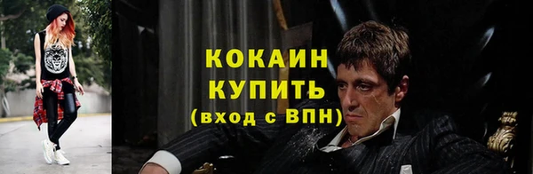 ГАЛЛЮЦИНОГЕННЫЕ ГРИБЫ Верея