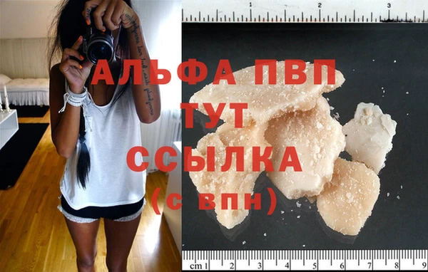прущие грибы Вязьма
