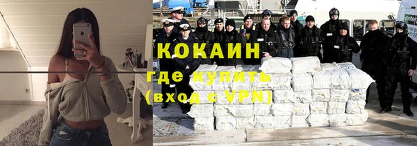 прущие грибы Вязьма