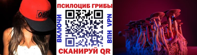 наркотики  blacksprut зеркало  Галлюциногенные грибы мухоморы  Заполярный 